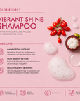 Angel Care Color Reflect Shampoo (1000 ml)